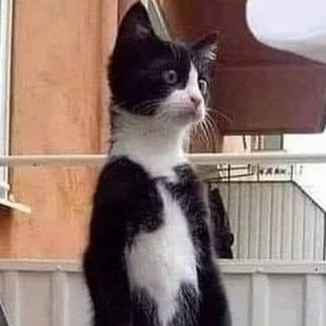 Meet your Posher, Zoe